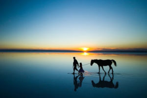 Amelia Island horseback riding on the beach