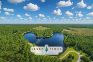 Seven Pines Homes For Sale Land Aerial View