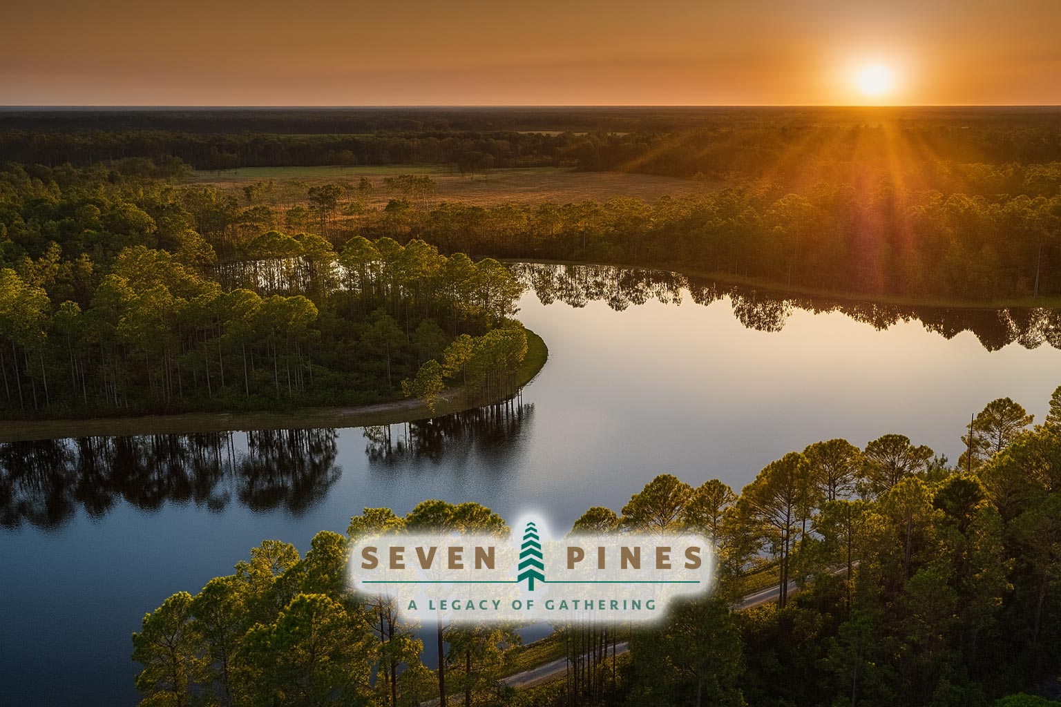 Seven Pines Homes For Sale Land Aerial View