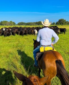 Putnam County Cowboy